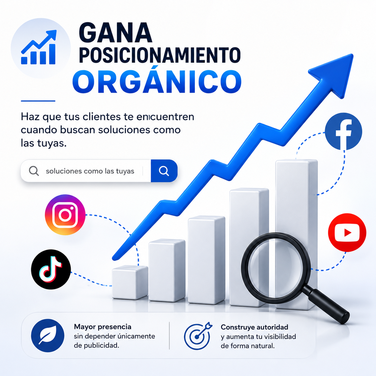 8. Activación Activos digitales en facebook, tiktok, instagram y youtube ( Implementación )